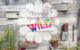 Hanging planters, urban gardens, flower pots, container gardens spotted in the wild!