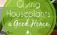Houseplants growing conditions