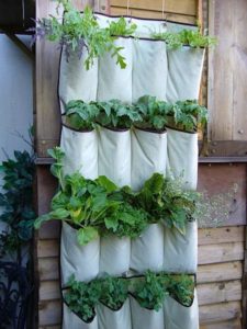 DIY Garden Ideas - Vertical Garden Shoe Rack