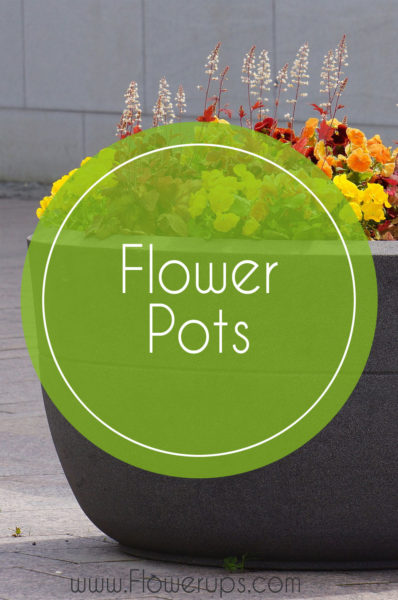 flower pots for hanging planters