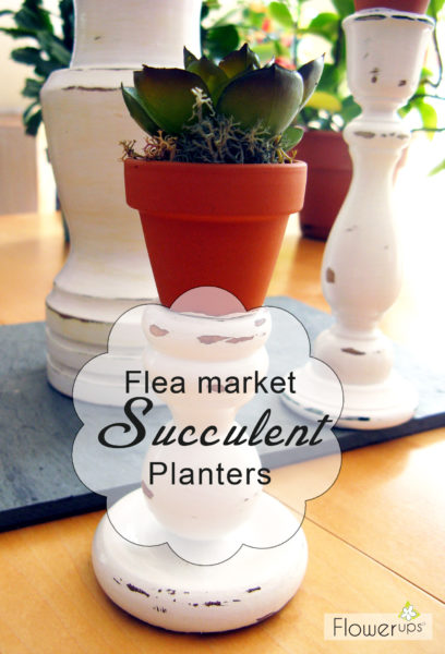 DIY Succulent planters for small space, indoor gardening. So Cute!