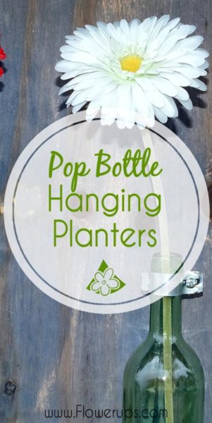 DIY Pop Bottle hanging planters recycle