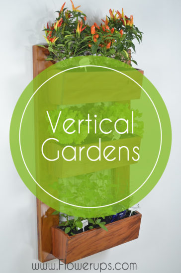 vertical and hanging gardens