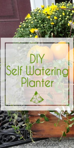 DIY self watering planter
