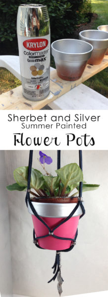 Hanging planters - painted flower pots