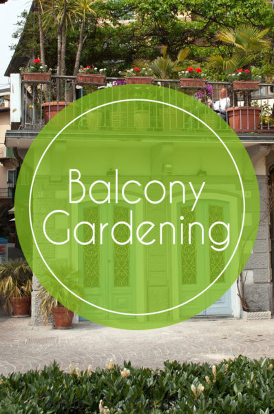 balcony gardening small space living