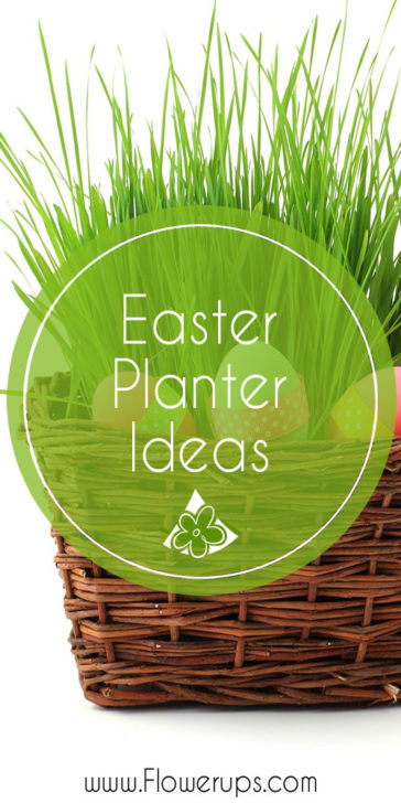 Easter Spring planters for porch decor, container gardens