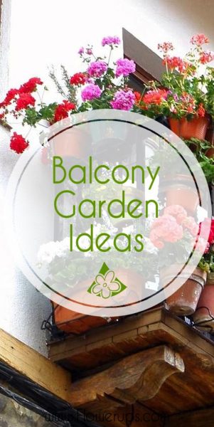 Balcony garden ideas