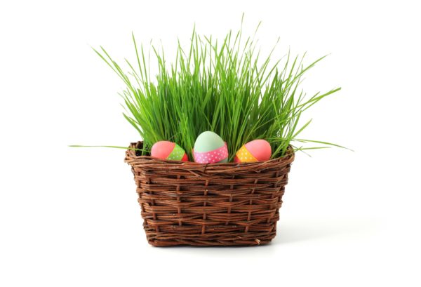 Easter planter with grass and eggs