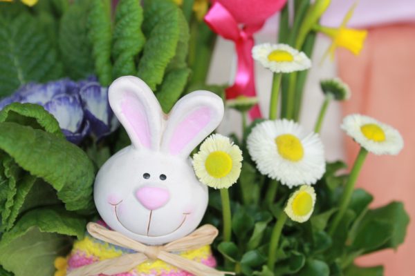 Easter Spring planter bunny